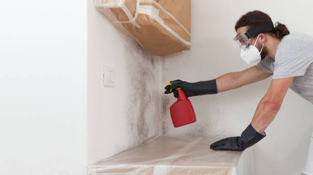 Professional Mold Cleanup technician working in Deerfield Beach, FL